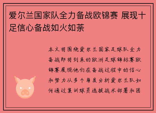 爱尔兰国家队全力备战欧锦赛 展现十足信心备战如火如荼